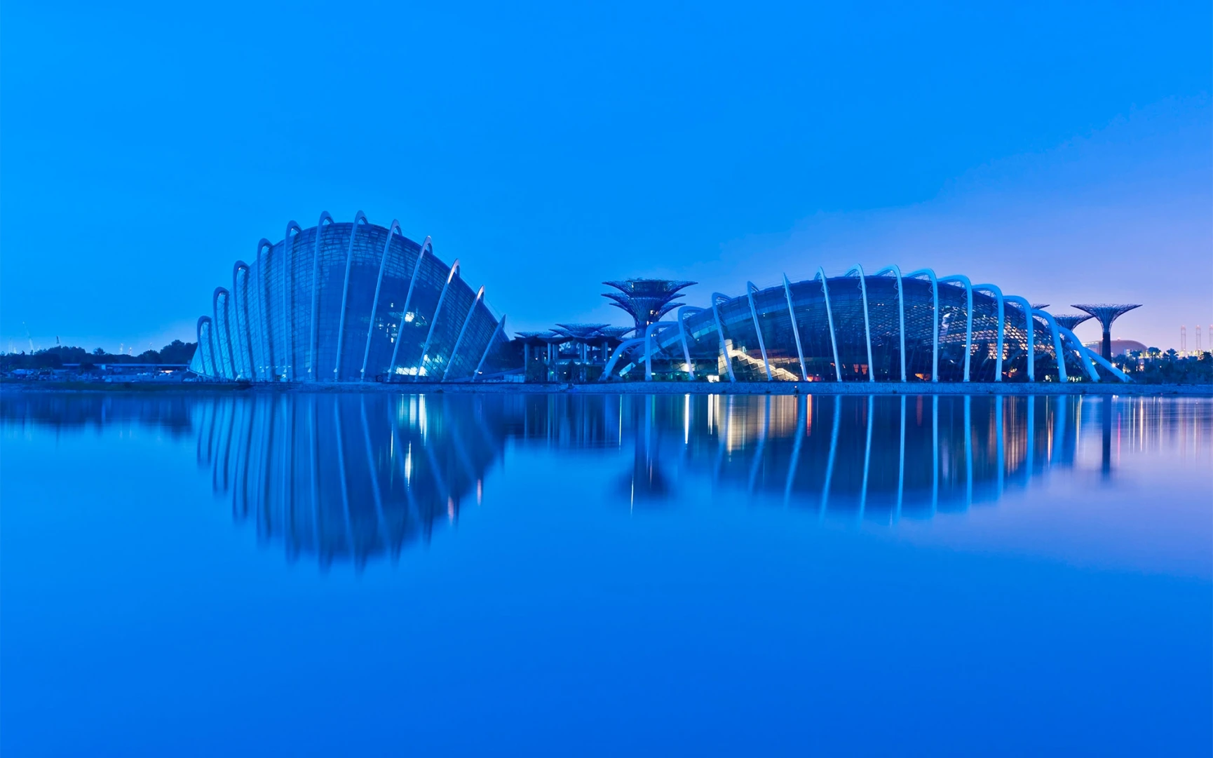 Garden By The Bay Blue