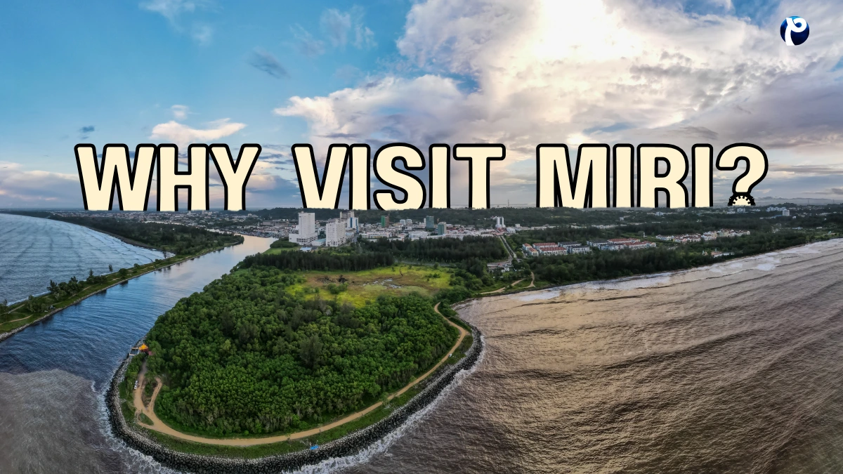 Why Visit Miri in Sarawak?