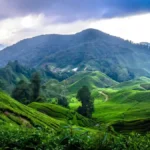 cameron highlands