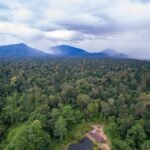 Deramakot Forest Reserve Malaysia