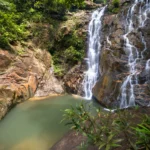 Endau-Rompin National Park, Johor Malaysia