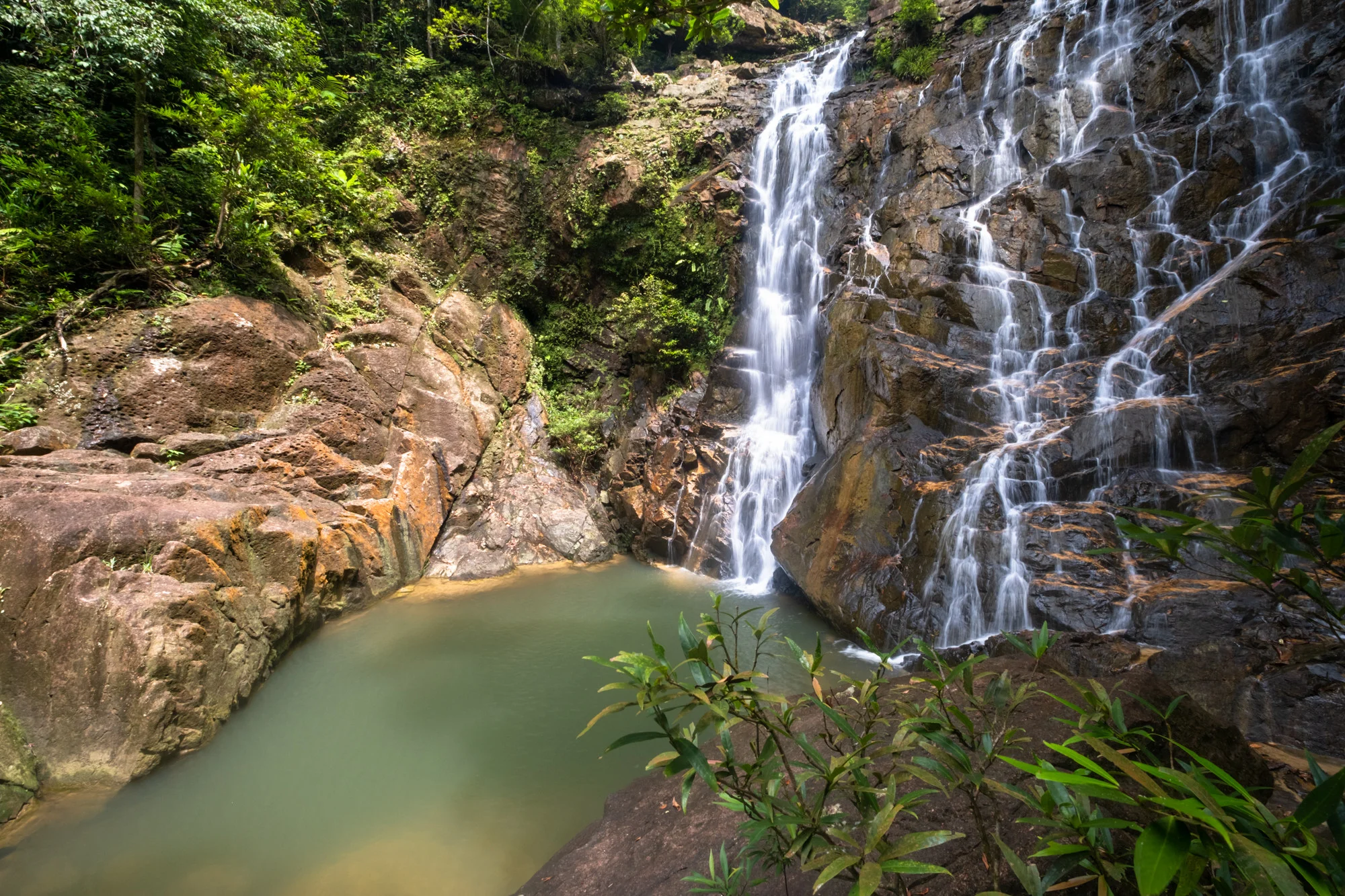 Endau-Rompin National Park, Johor Malaysia