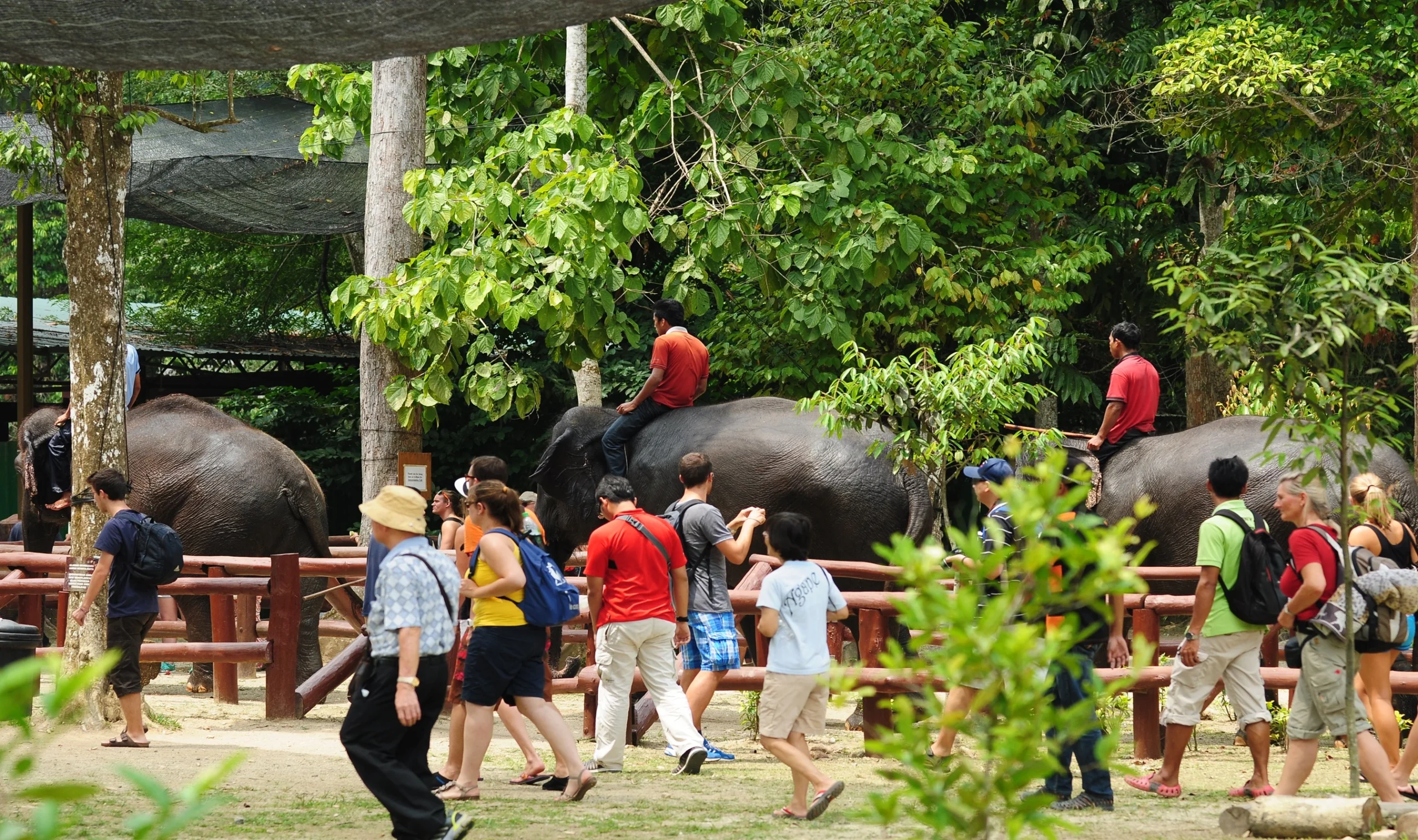National Elephant Conservation Centre Malaysia