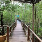 Tanjung Piai National Park (Johor, Malaysia)