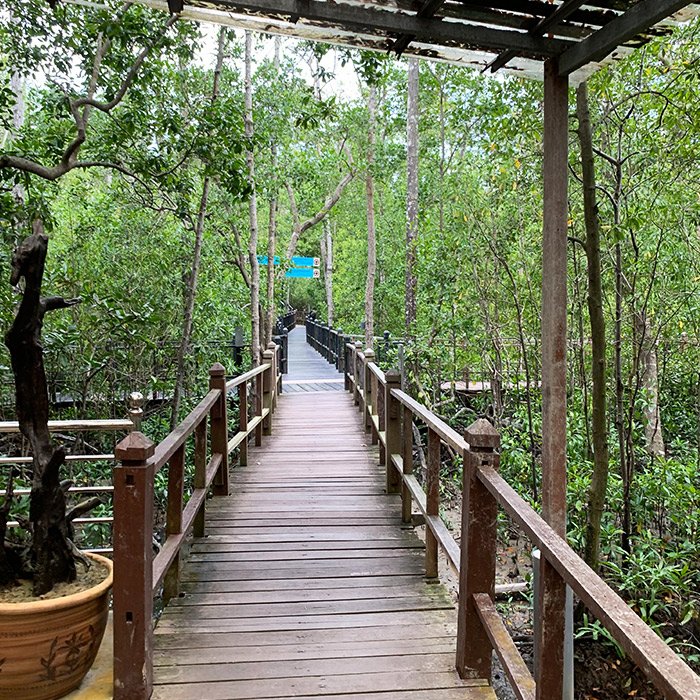 Tanjung Piai National Park (Johor, Malaysia)