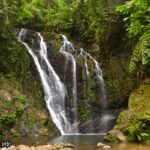 Tawau Hills Park, Sabah Malaysia