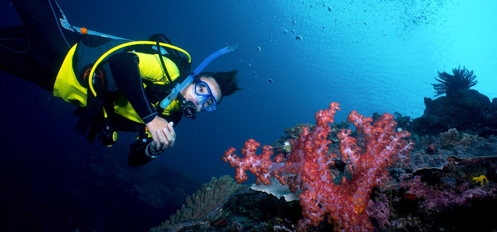 3 Days 2 Nights of Unforgettable Ocean Escapades