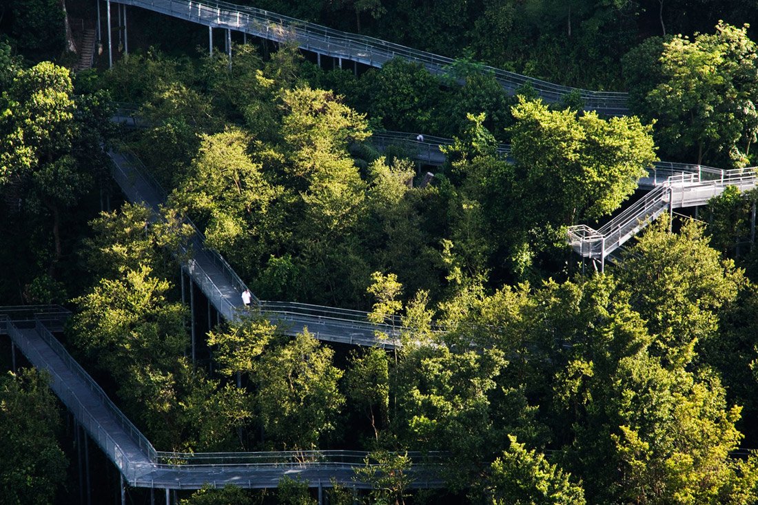 Alexandra Nature Park Singapore