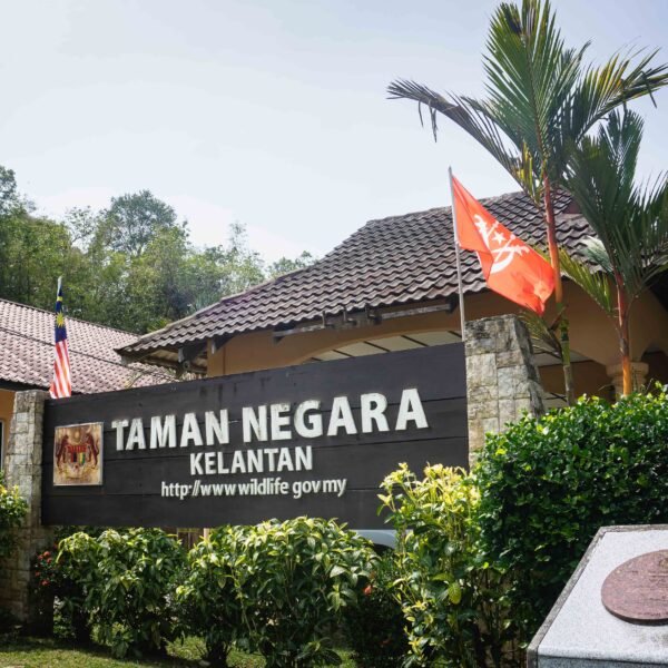 Back to Nature at Taman Negara Kuala Koh, Kelantan