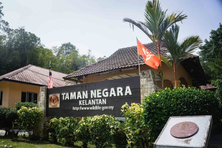 Back to Nature at Taman Negara Kuala Koh, Kelantan