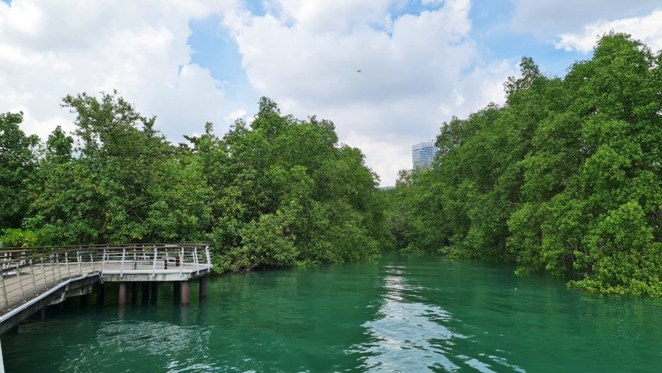 Berlayer Creek Nature Park Singapore’s