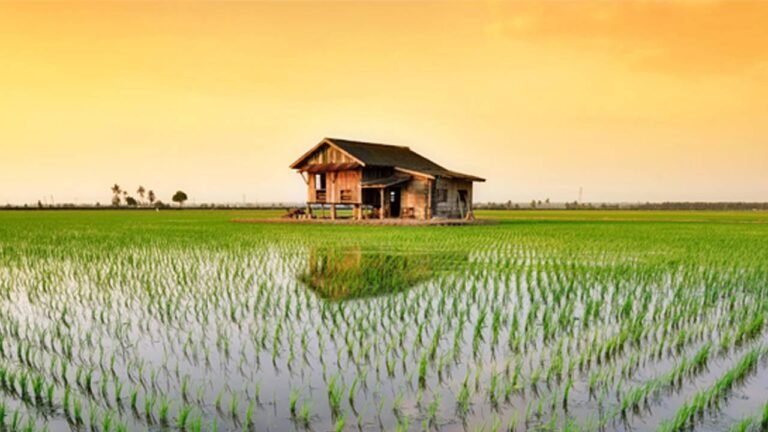 Budget-Friendly Weekend Escapes from KL for Young Families