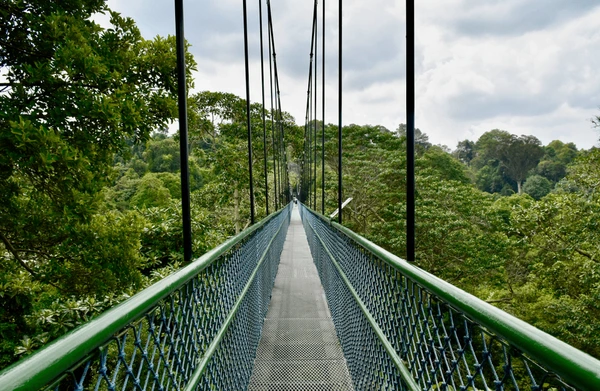 Central Catchment Nature Reserve: Singapore’s Largest Green Lung