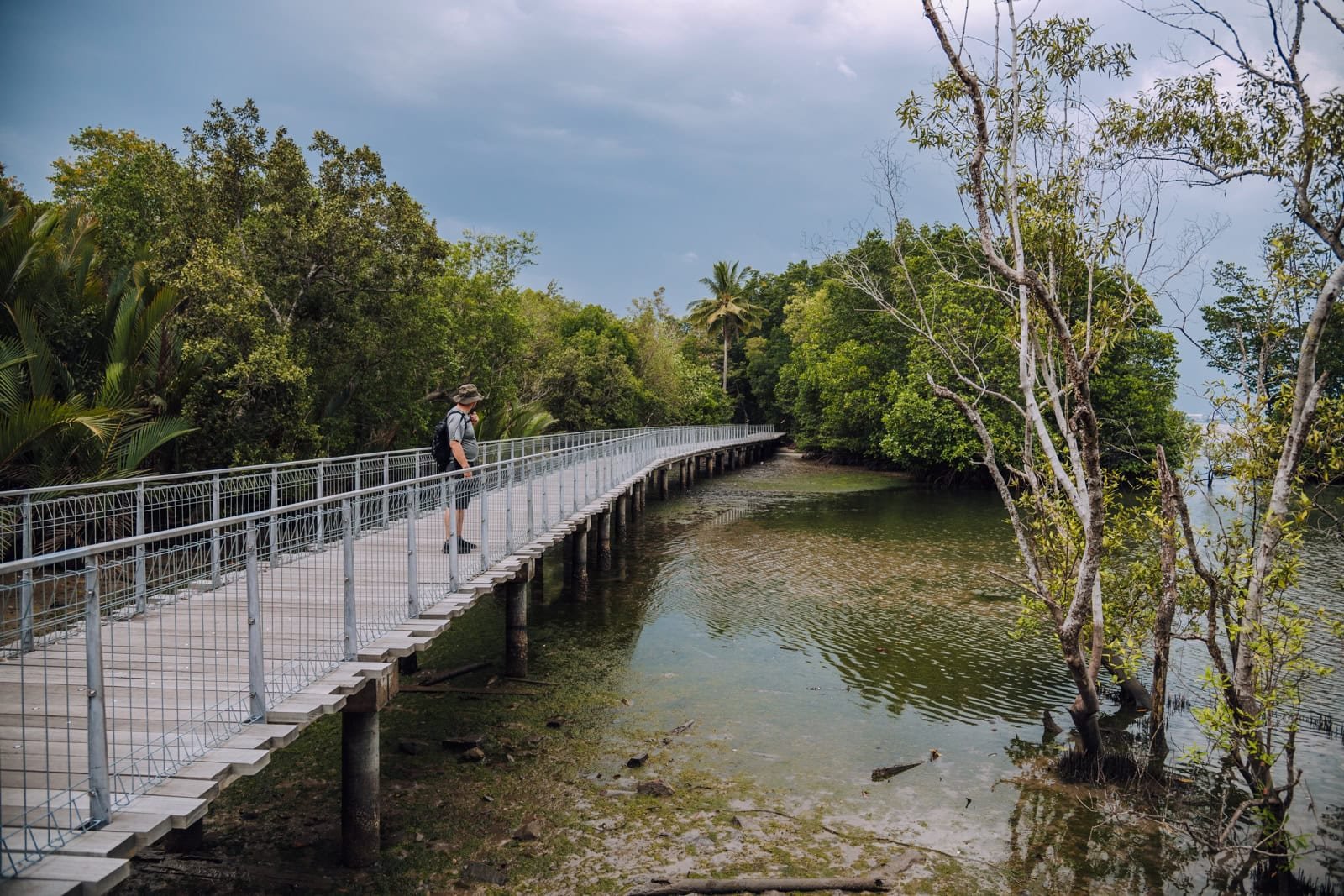 Chek Jawa Wetlands: Discover Intertidal Marine Life on Pulau Ubin