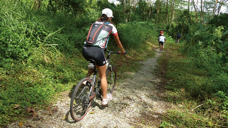 Chestnut Nature Park Singapore