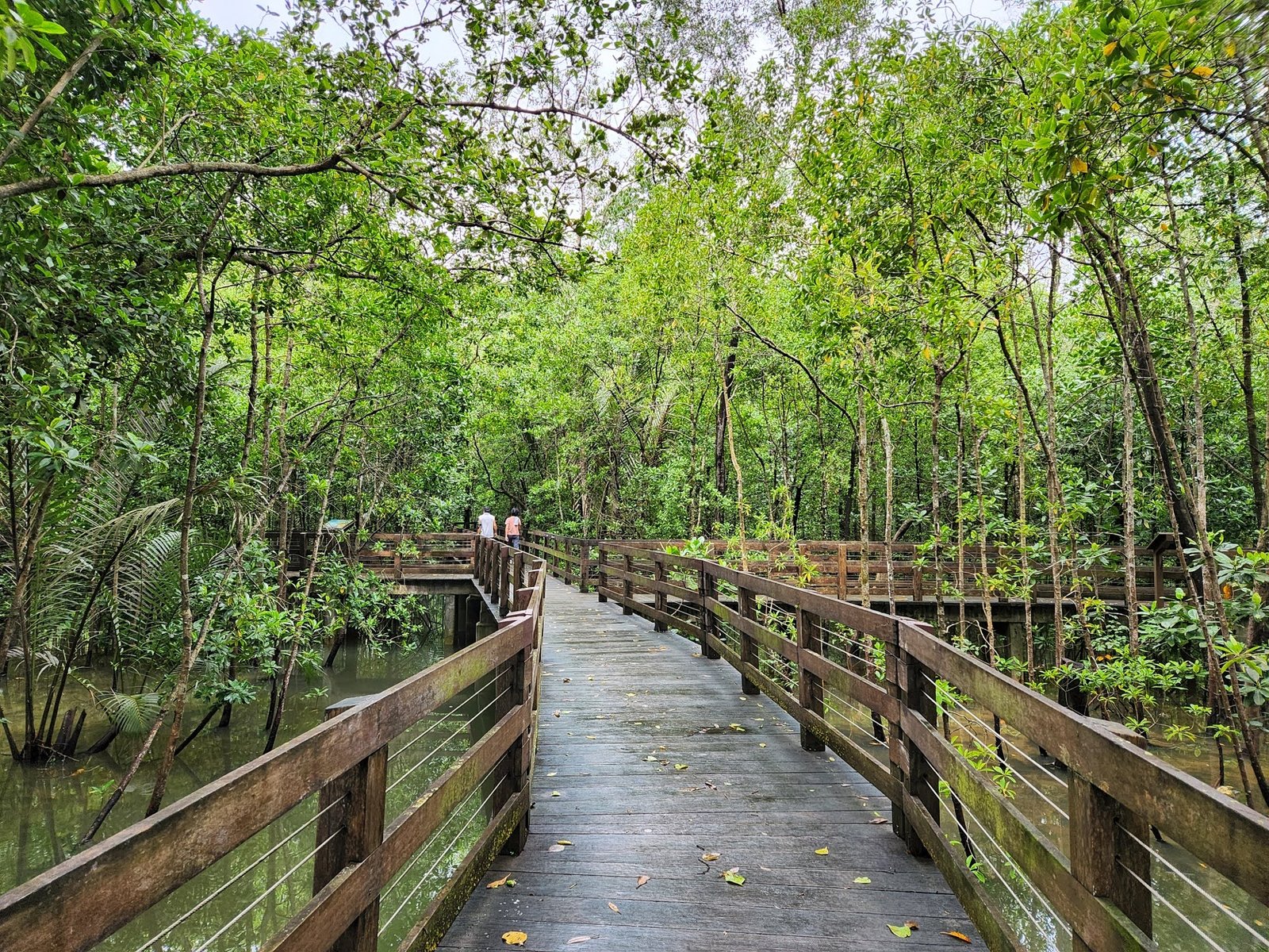 Discover Pasir Ris Nature Area Singapore