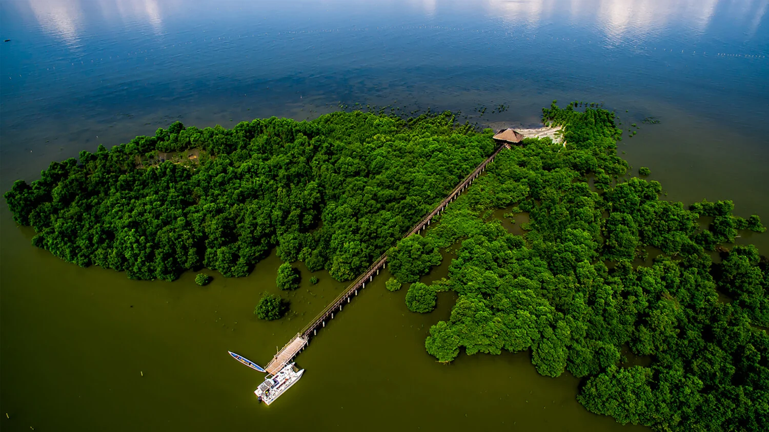 Discover the Best Mangrove in Malaysia