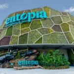 Entopia Pulau Pinang Where Nature, Butterflies & Discovery Come Alive