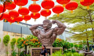 Explore Jonker Street, Melaka Heritage Food Shopping &More
