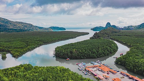 Explore Kubang Badak BioGeoTrail Langkawi: A Hidden Gem for Nature & Heritage Lovers