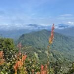 Exploring Negeri Sembilan: Hiking Trails, Attractions, Stays & Top Local Eats