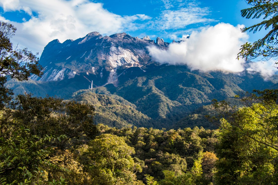 Exploring Sabah The Best Nature and Wildlife Adventures