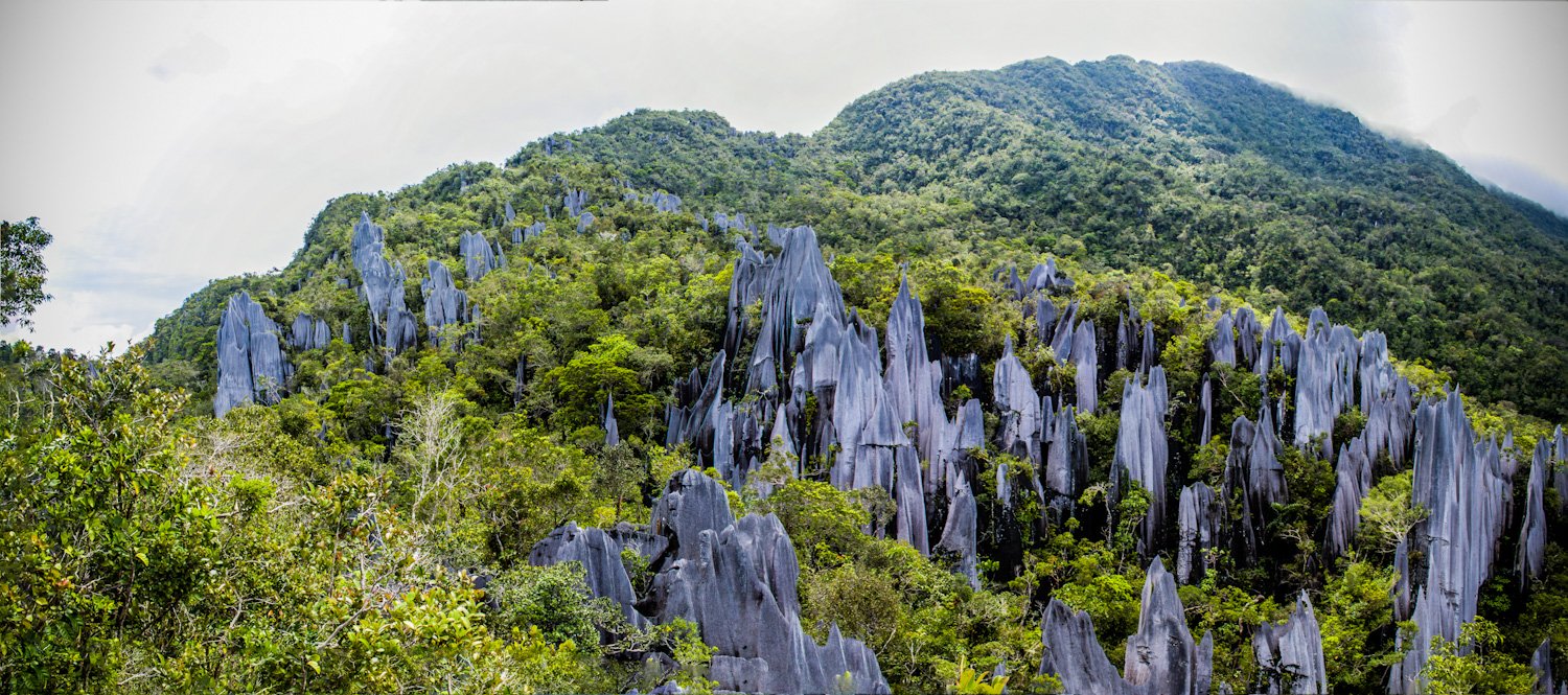 Exploring Sarawak: A Treasure Trove of Natural Wonders