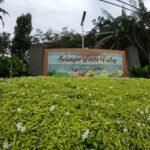 Family Fun at Selangor Fruits Valley: Nature, Fruits & Farm Adventures