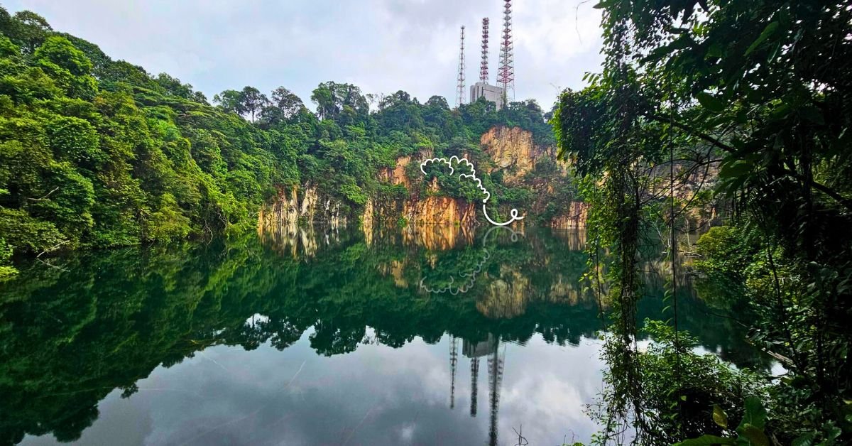 Hindhede Nature Park Singapore’s