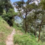 How I Burned My Calories For 4 Days In Penang