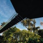 KL Forest Eco Park: Kuala Lumpur’s Hidden Rainforest Gem