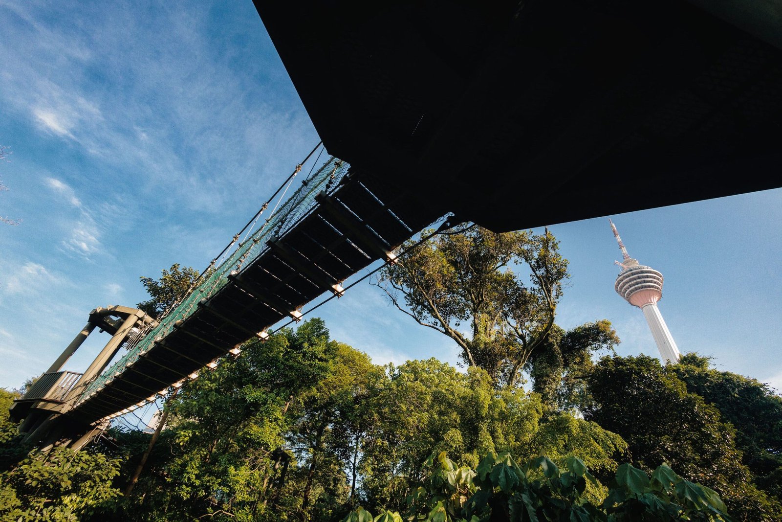 KL Forest Eco Park: Kuala Lumpur’s Hidden Rainforest Gem