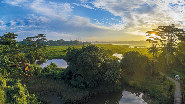 Kranji Coastal Nature Park Singapore’s