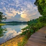 MacRitchie Reservoir Park