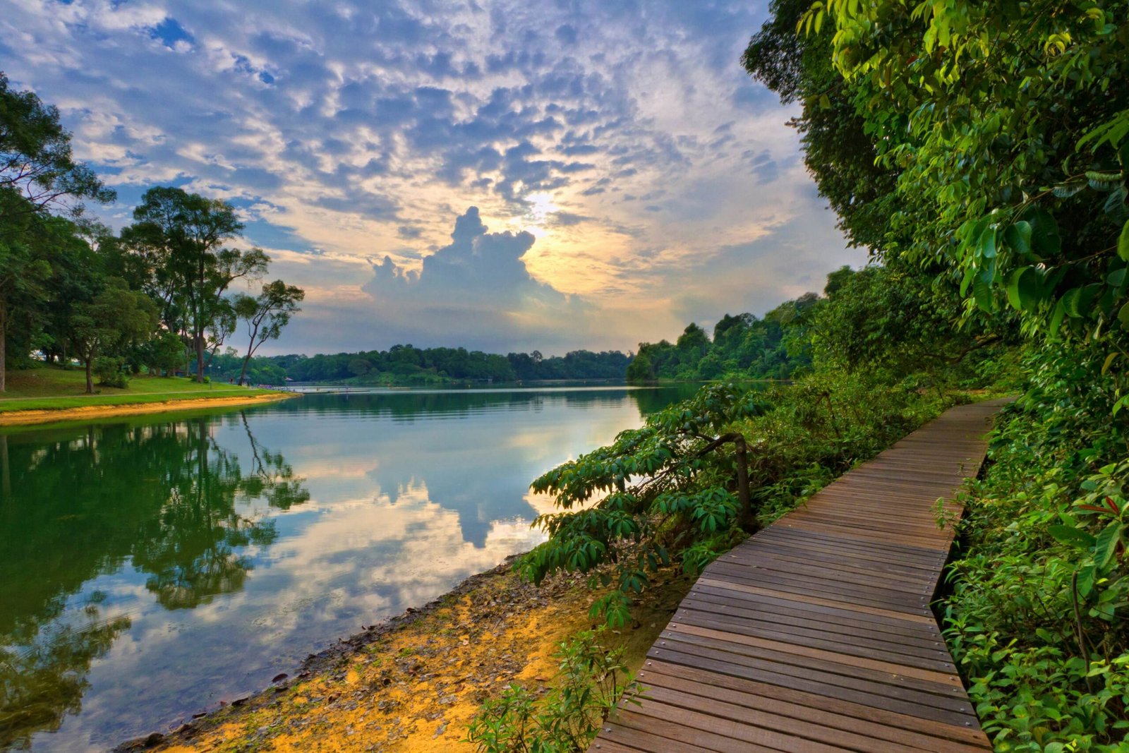 MacRitchie Reservoir Park