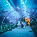 Malaysia with Kids Top 10 Places Where Children Won’t Get Bored