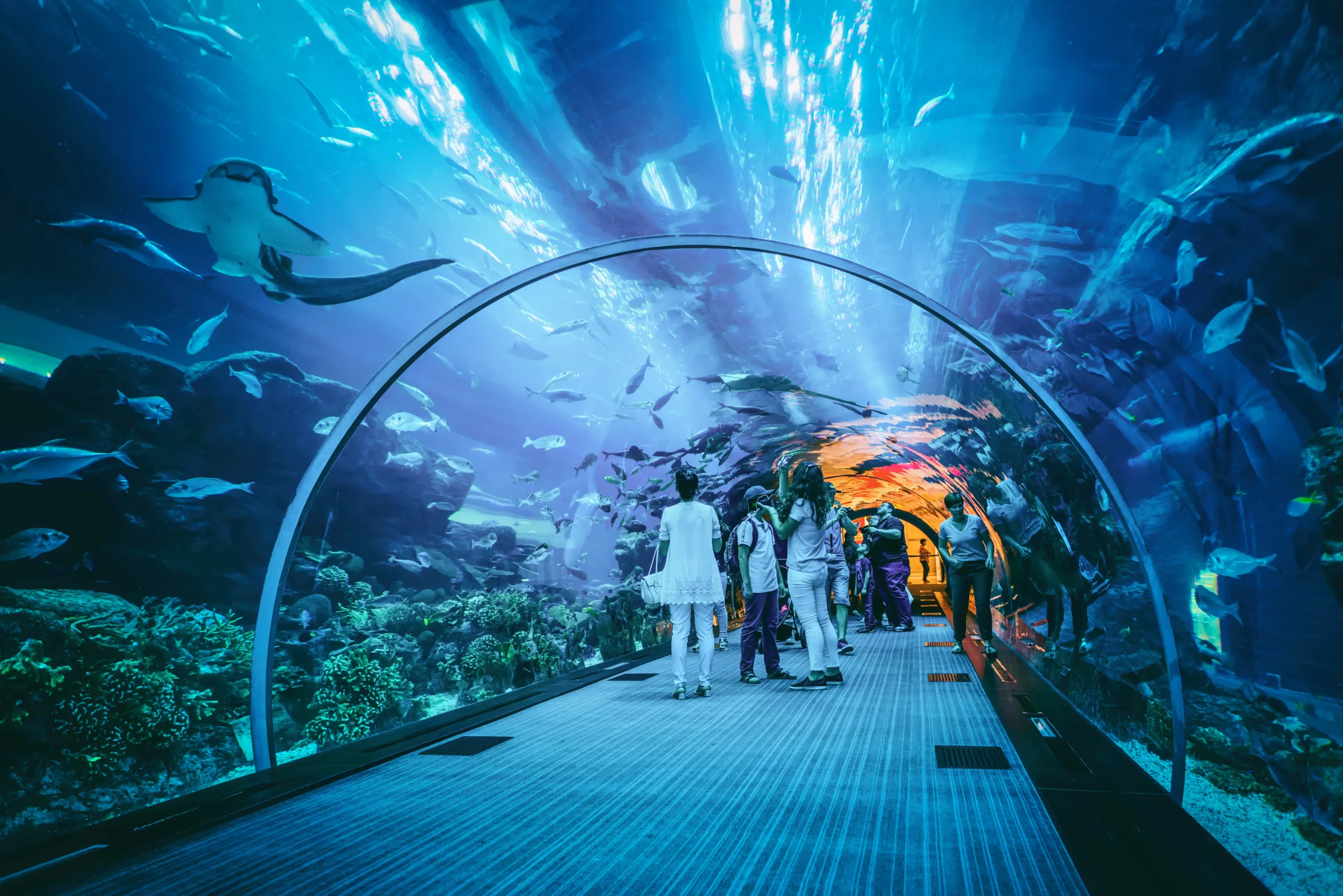 Malaysia with Kids Top 10 Places Where Children Won’t Get Bored