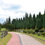 Must-Visit Public Parks in Putrajaya: Nature Escapes in Malaysia’s Garden City
