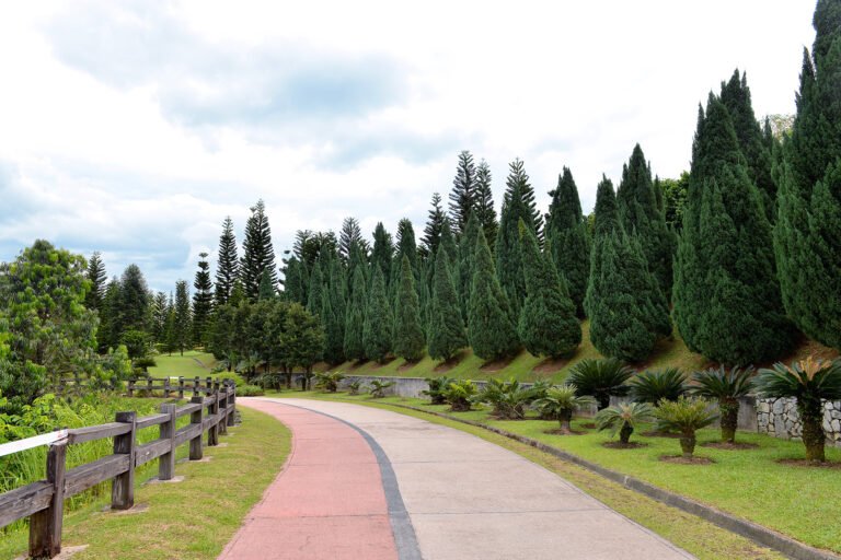 Must-Visit Public Parks in Putrajaya: Nature Escapes in Malaysia’s Garden City