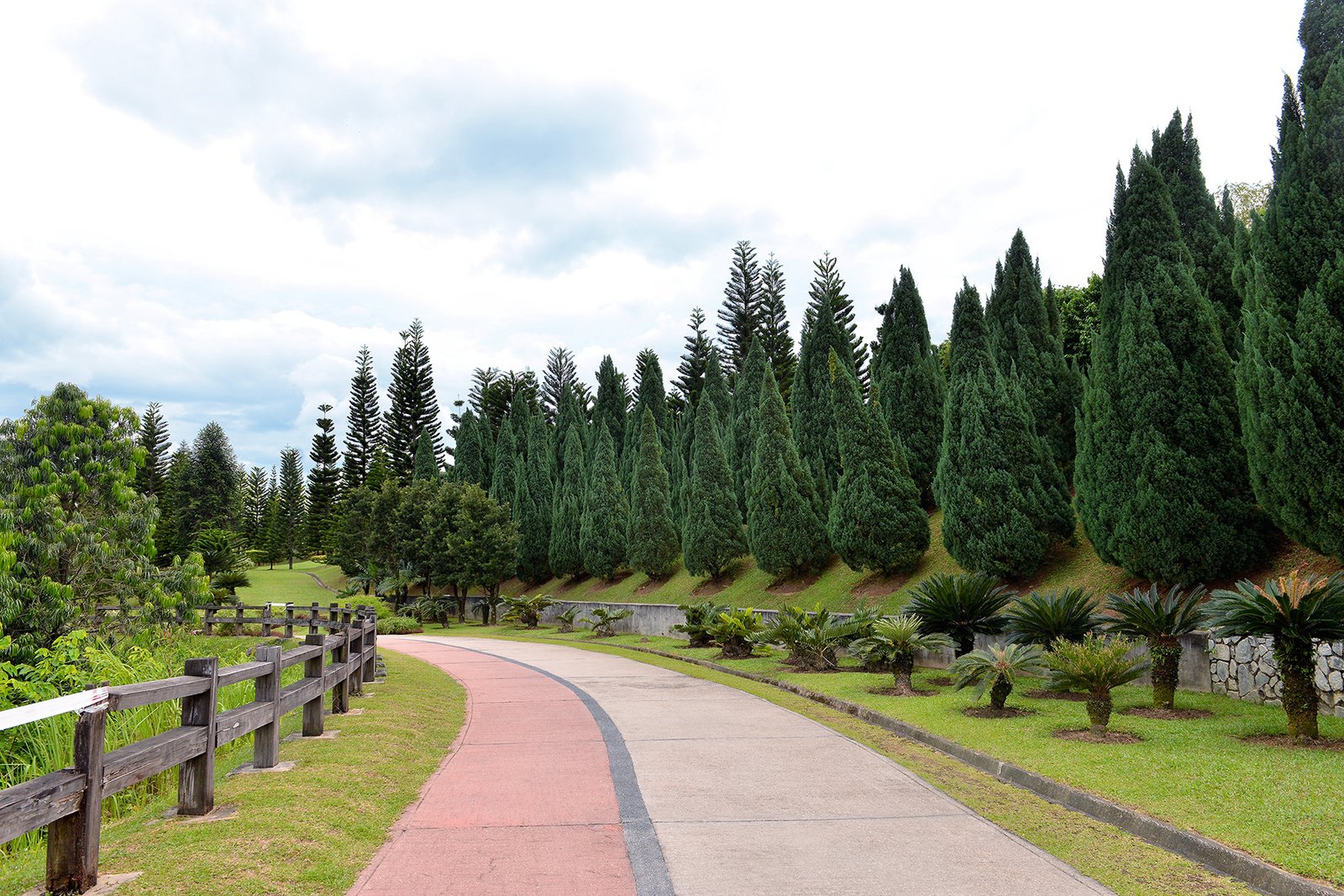 Must-Visit Public Parks in Putrajaya: Nature Escapes in Malaysia’s Garden City