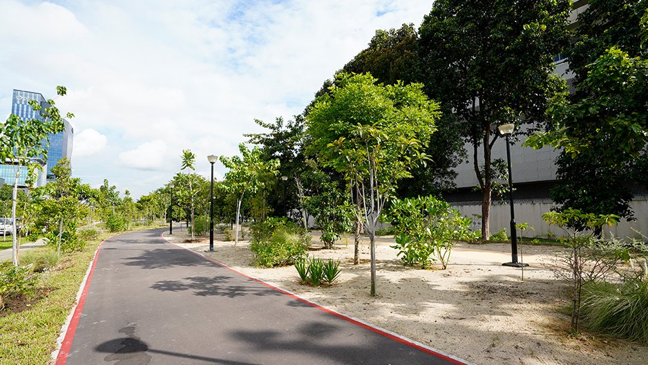 Pasir Panjang Park A Coastal Green Gem in the Greater Southern Waterfront