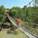 Pulau Kukup National Park, Johor: A Hidden Gem of Malaysia's Mangrove Wilderness