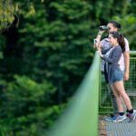 Rainforest Discovery Centre, Sabah: Discover Borneo’s Natural Wonderland