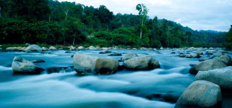 Royal Belum State Park: Jolly in the Jungle – 7 Days 6 Nights Itinerary
