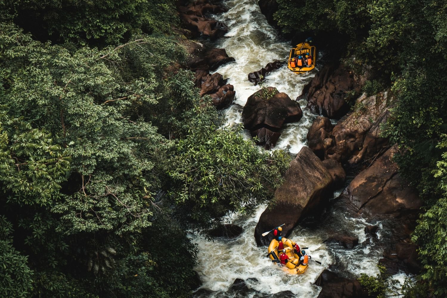 Selangor's Must-Experience Destinations for Outdoor Lovers