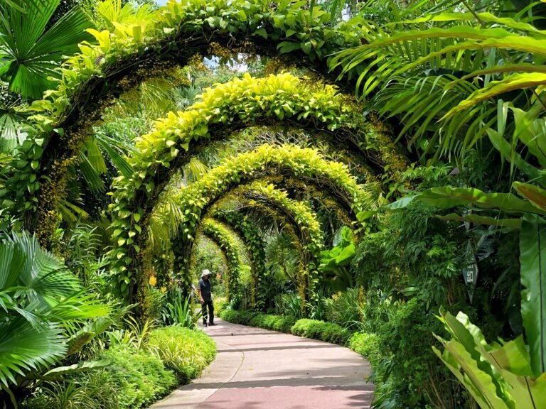 Singapore Botanic Gardens