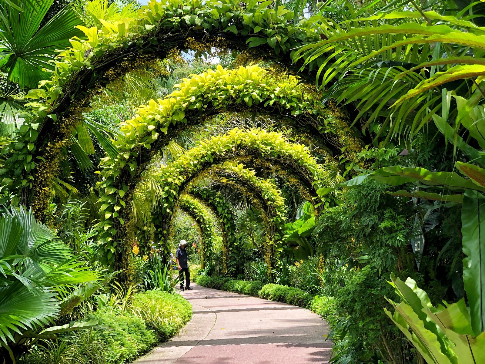 Singapore Botanic Gardens