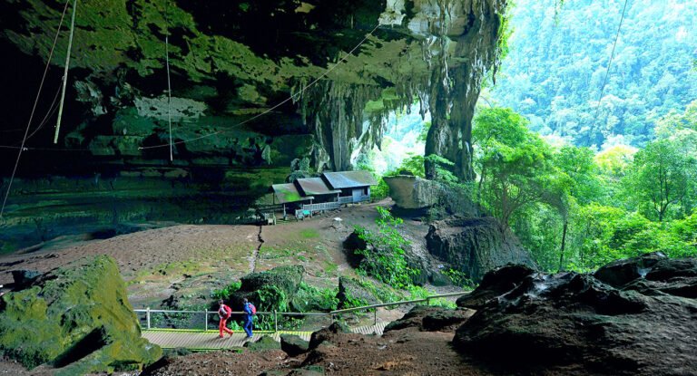 Skeletons, Bats and Spiders in the Depths of the Niah Caves of Sarawak
