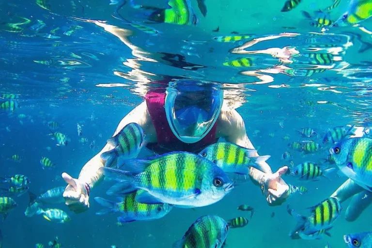 Snorkeling at Pulau Payar Marine Park