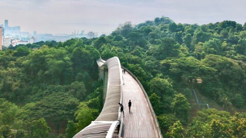 Southern Riges Southern Ridges Singapore | MyTrip Malaysia